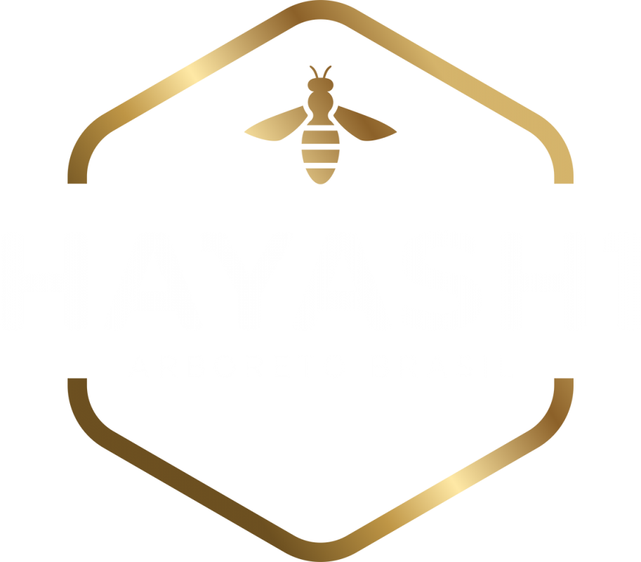 Hayashi Própolis